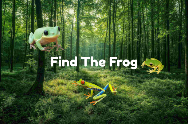 Find The Frog